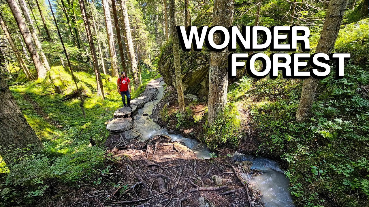 Best Scenic Walking Trails to Wander and Reconnect with Nature
