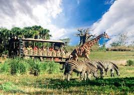 Top Wildlife Safaris for Adventurous Travelers